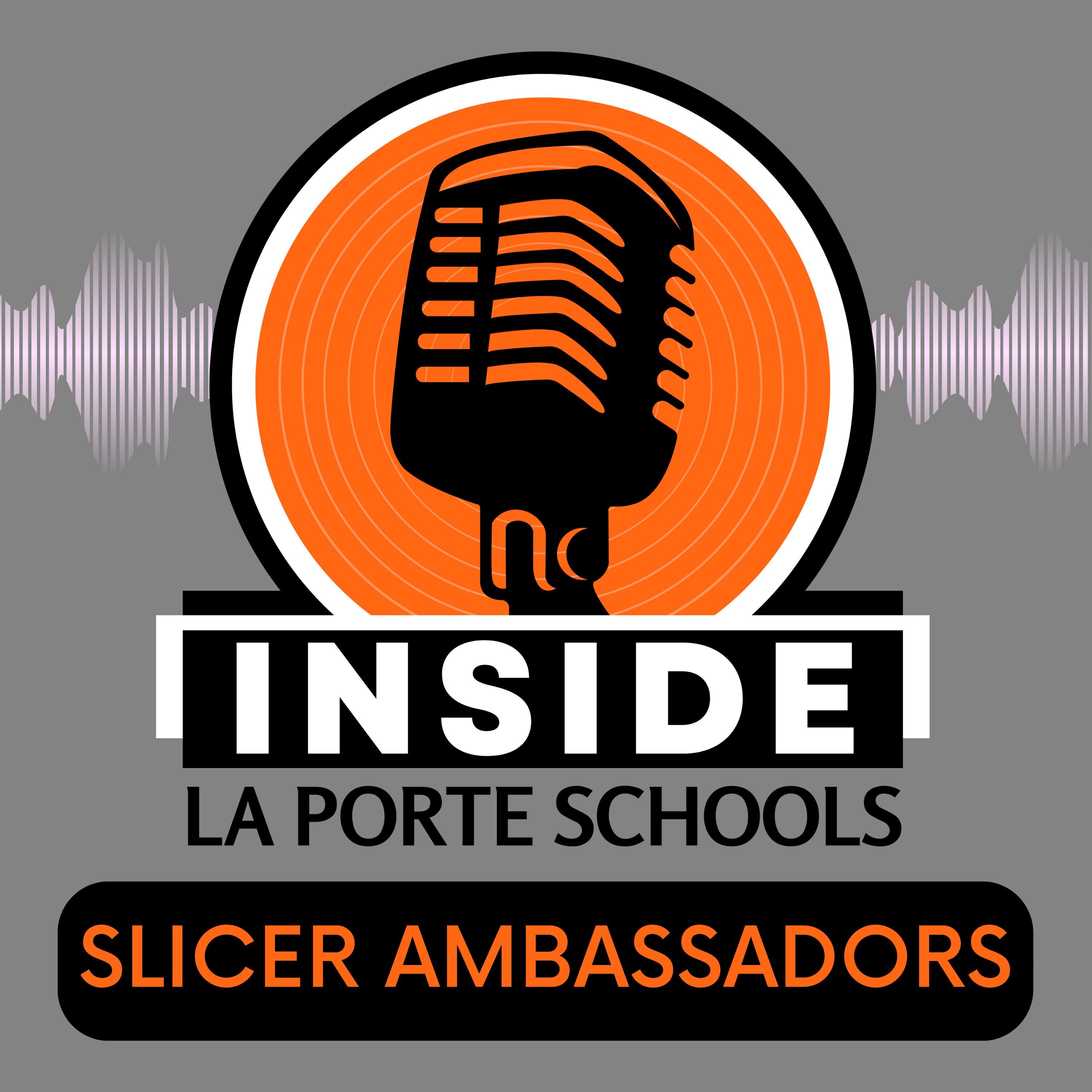 New Podcast Episode: Inside the Slicer Ambassador Program is here!